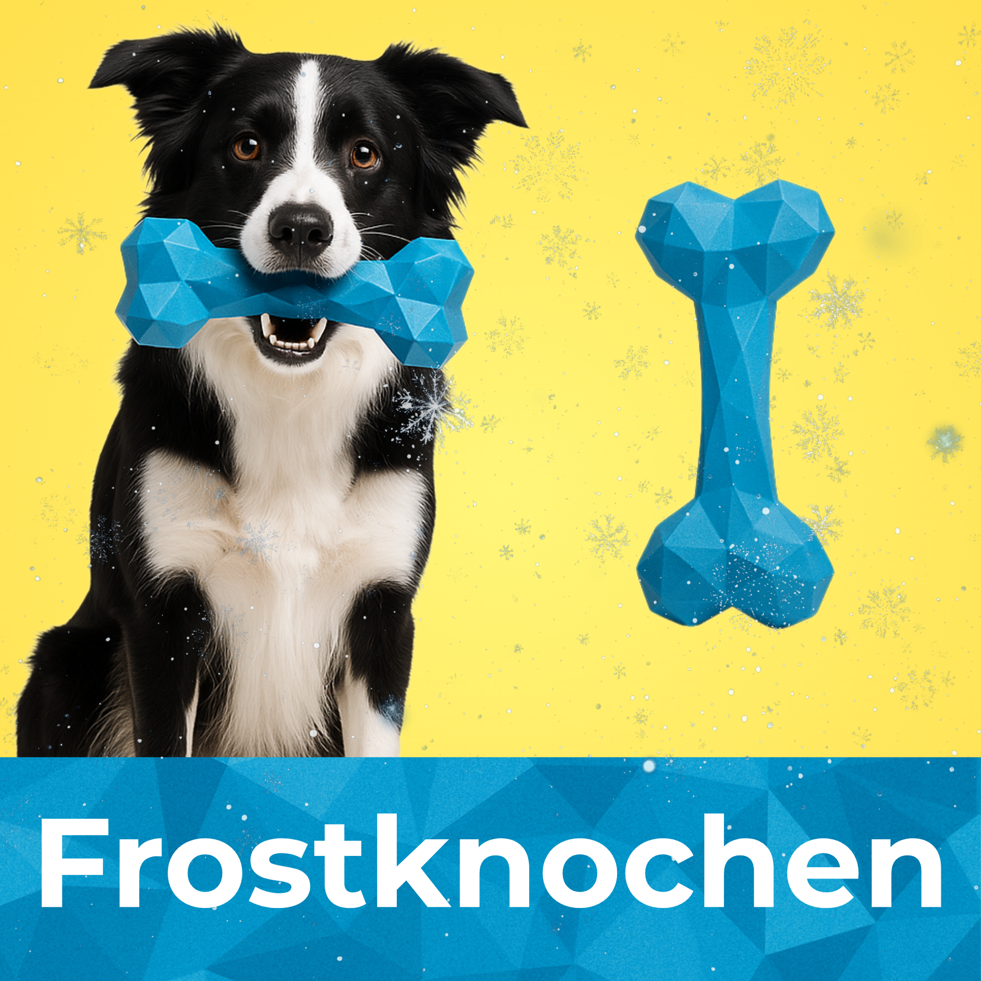 Frostknochen